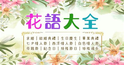 松紅梅花語|花語大全以後送花就不會送錯了，趕快收藏起來